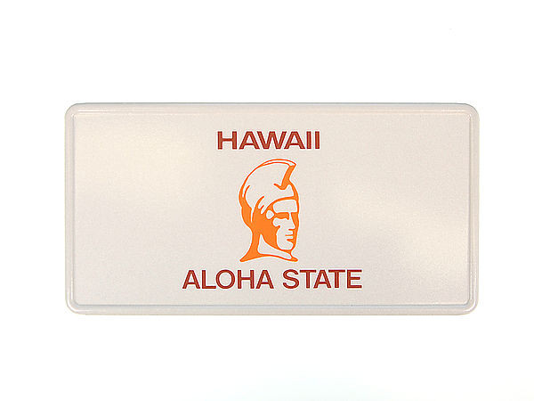 Hawaii - Plate mit Wunschtext in Folienschrift