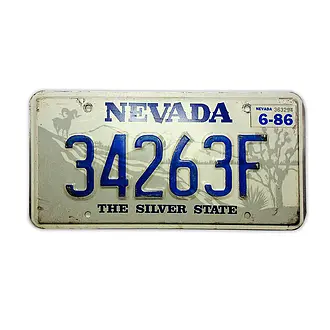 USA Nummernschild Nevada